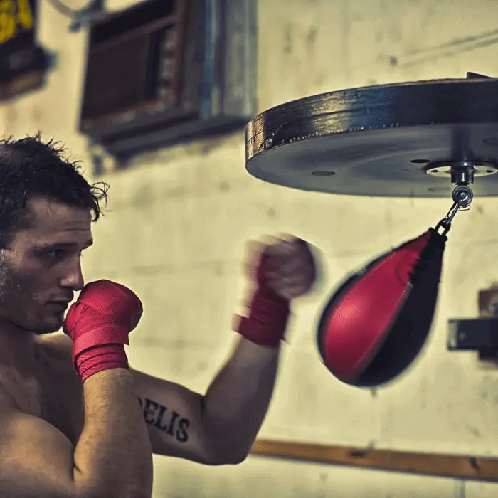 speed bags