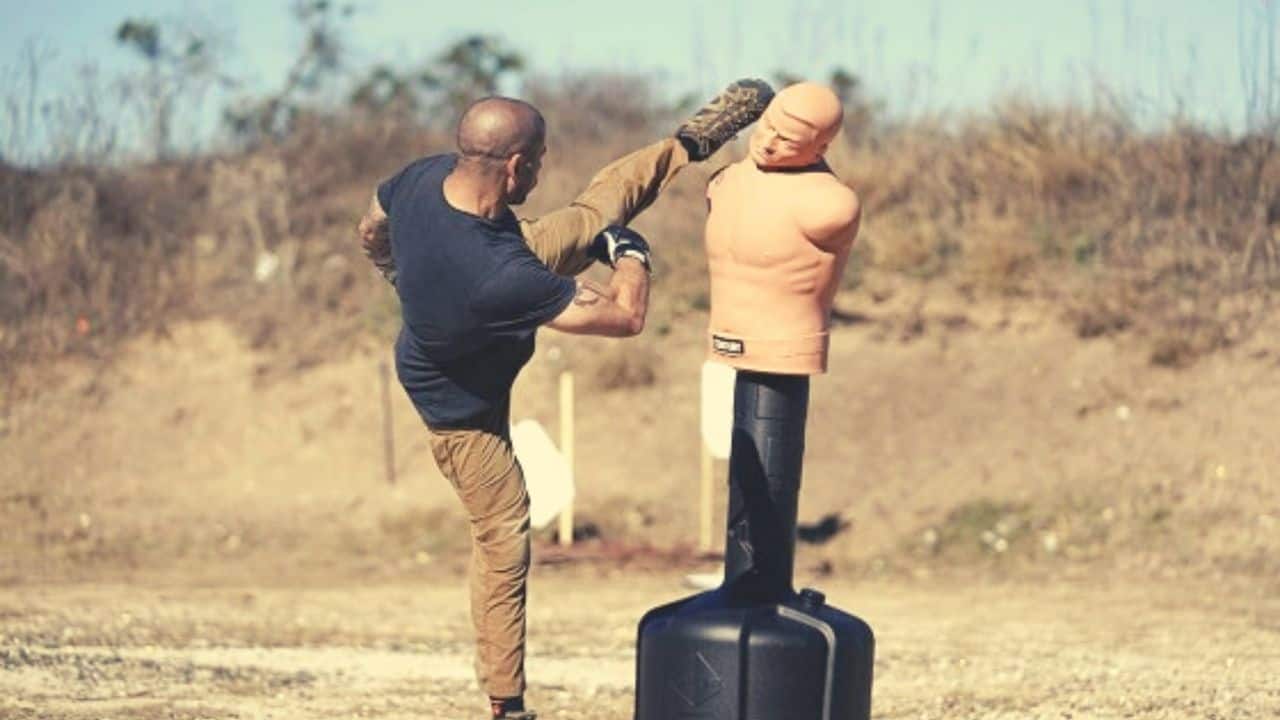https://punchingbagsguide.com/best-punching-dummy-bags/